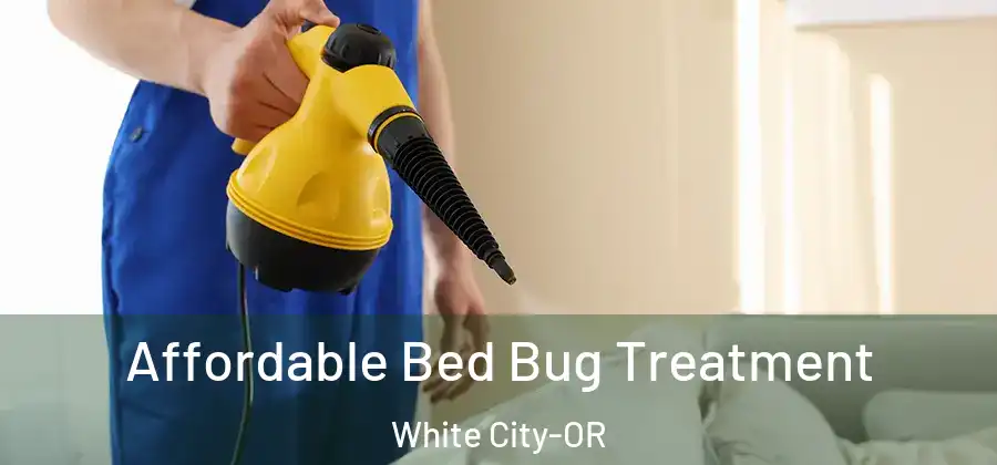 Affordable Bed Bug Treatment White City-OR