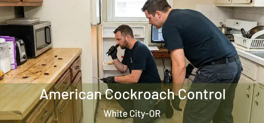 American Cockroach Control White City-OR