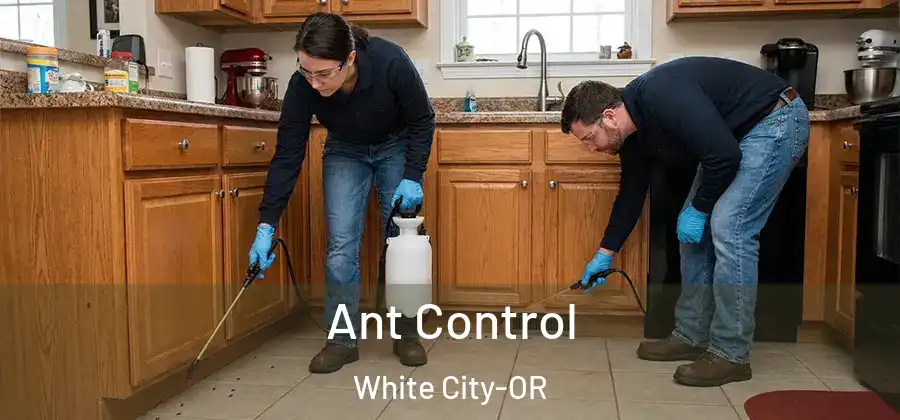 Ant Control White City-OR