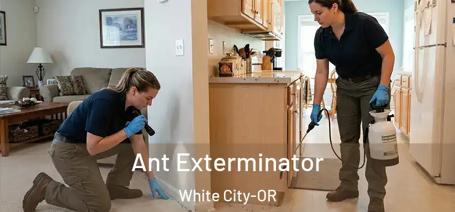 Ant Exterminator White City-OR
