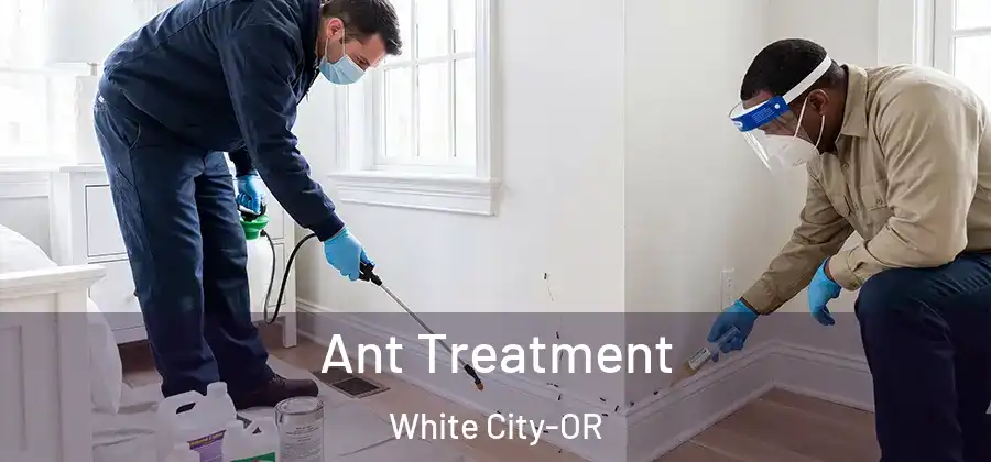  Ant Treatment White City-OR