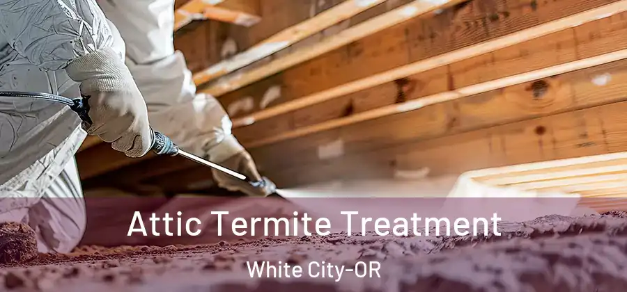 Attic Termite Treatment White City-OR