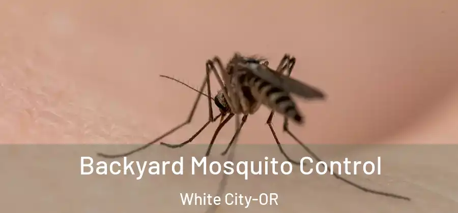 Backyard Mosquito Control White City-OR