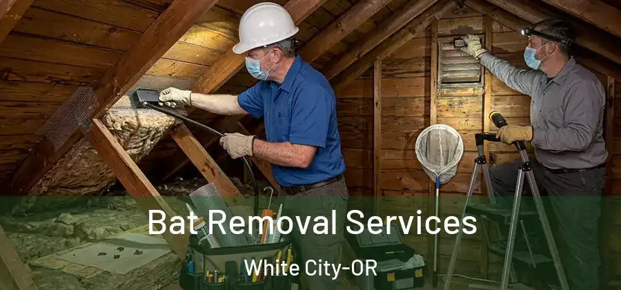  Bat Removal Services White City-OR