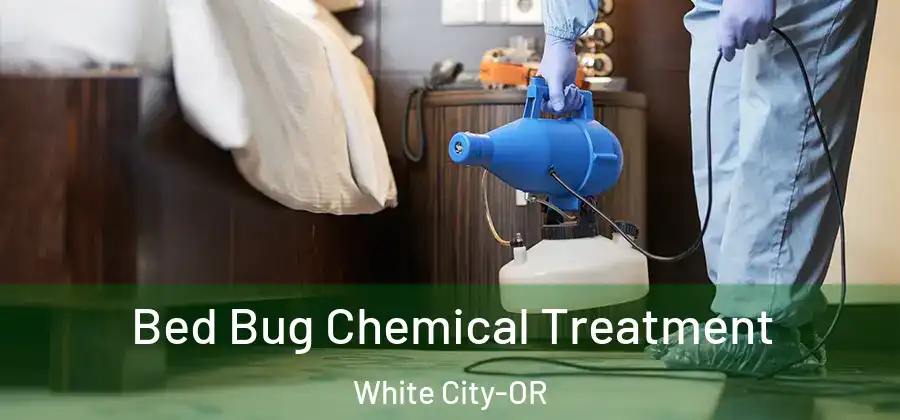  Bed Bug Chemical Treatment White City-OR
