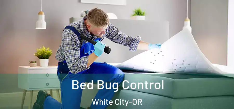 Bed Bug Control White City-OR