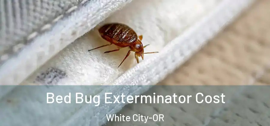 Bed Bug Exterminator Cost White City-OR