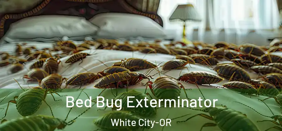 Bed Bug Exterminator White City-OR