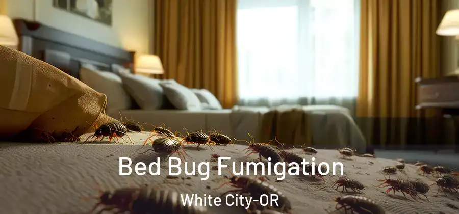 Bed Bug Fumigation White City-OR