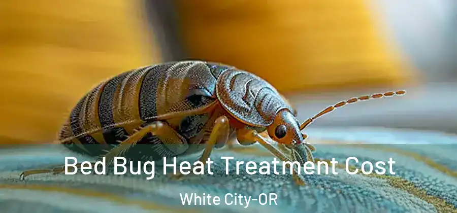  Bed Bug Heat Treatment Cost White City-OR