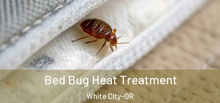  Bed Bug Heat Treatment White City-OR