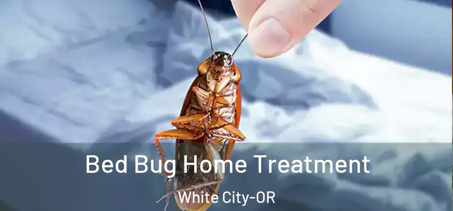 Bed Bug Home Treatment White City-OR