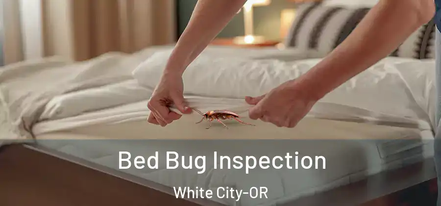 Bed Bug Inspection White City-OR