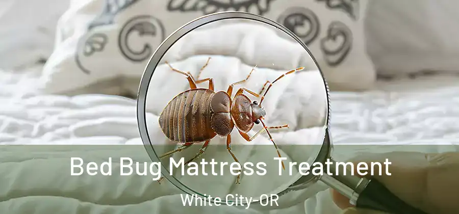  Bed Bug Mattress Treatment White City-OR
