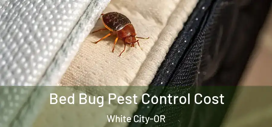  Bed Bug Pest Control Cost White City-OR