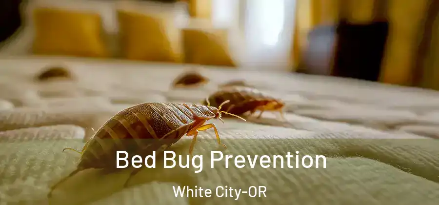 Bed Bug Prevention White City-OR