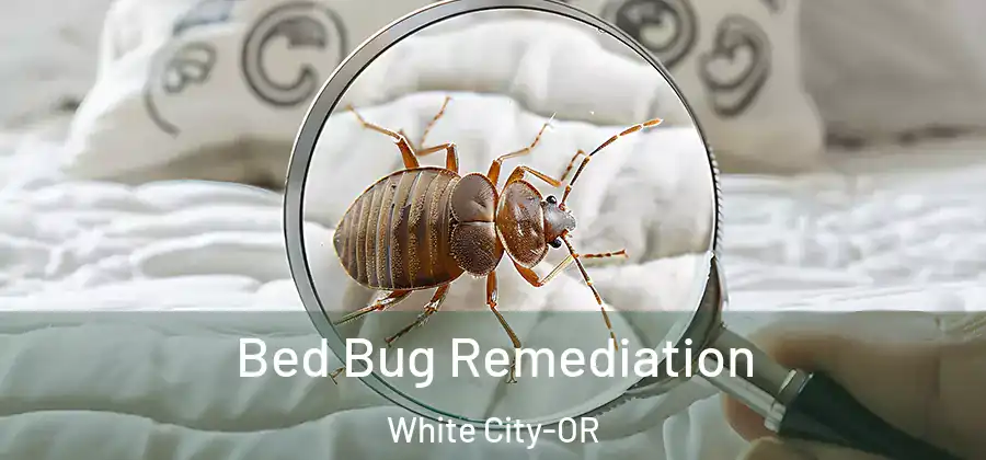 Bed Bug Remediation White City-OR