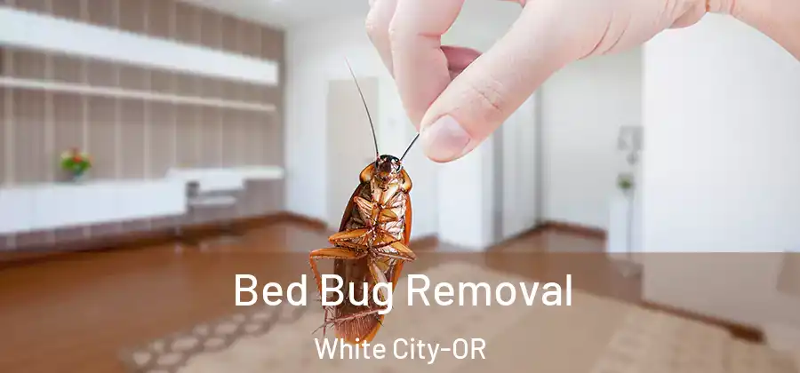 Bed Bug Removal White City-OR