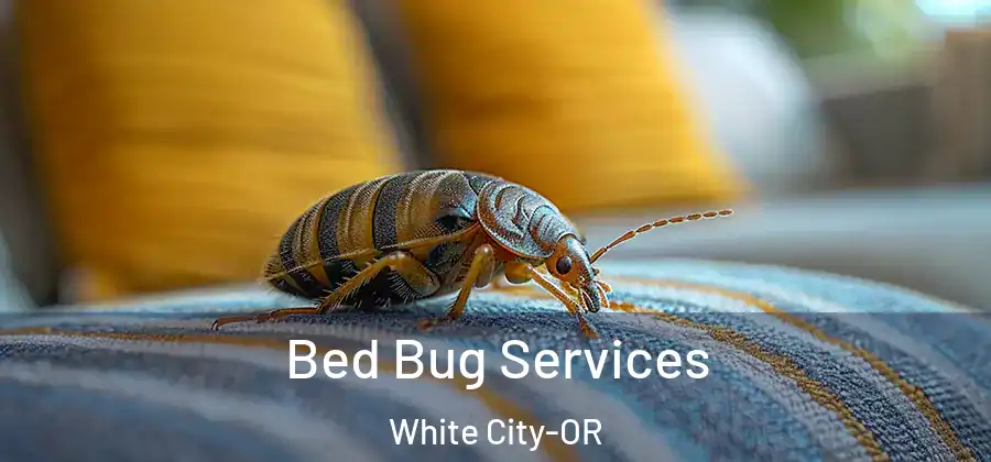  Bed Bug Services White City-OR