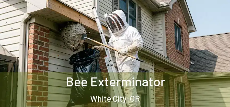 Bee Exterminator White City-OR
