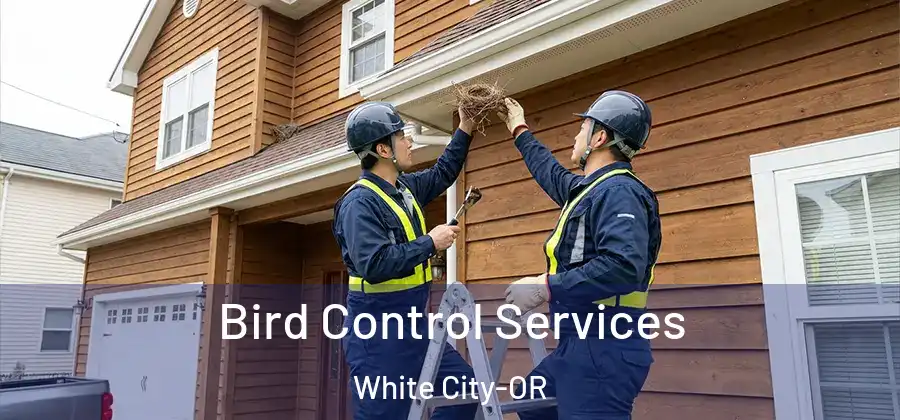 Bird Control Services White City-OR