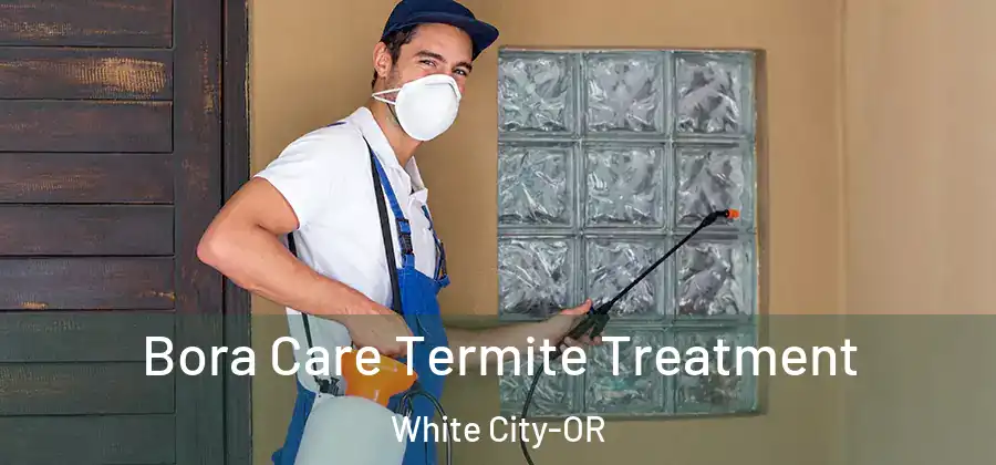 Bora Care Termite Treatment White City-OR