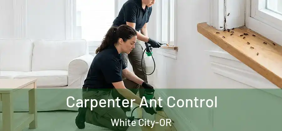 Carpenter Ant Control White City-OR