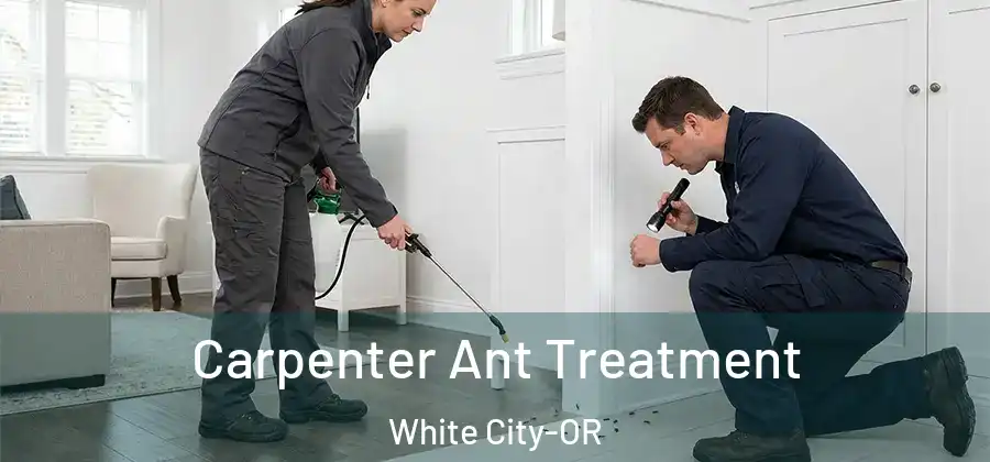  Carpenter Ant Treatment White City-OR