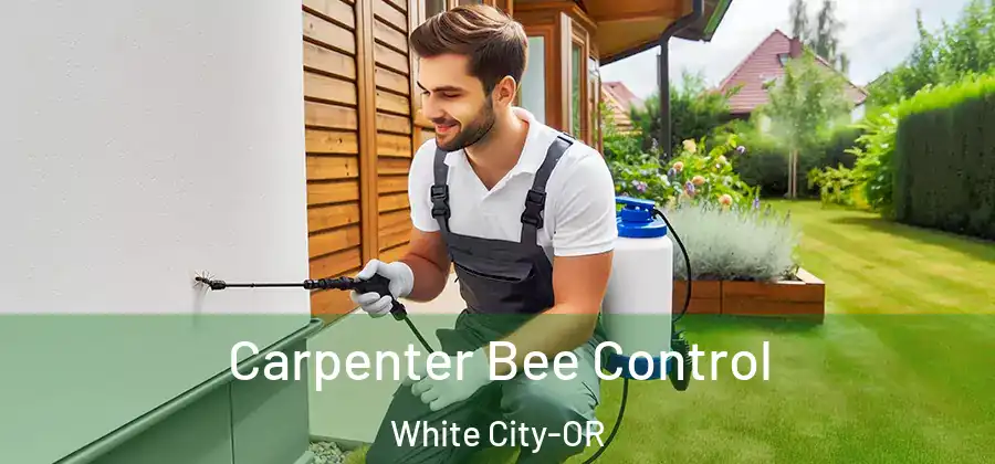 Carpenter Bee Control White City-OR