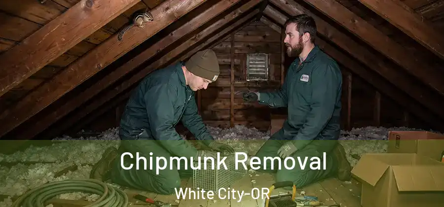 Chipmunk Removal White City-OR