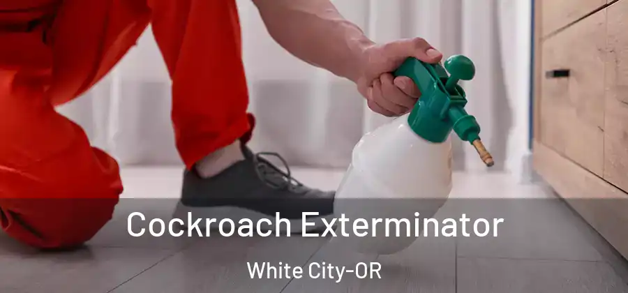 Cockroach Exterminator White City-OR