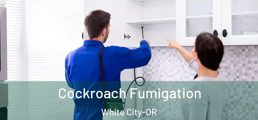 Cockroach Fumigation White City-OR