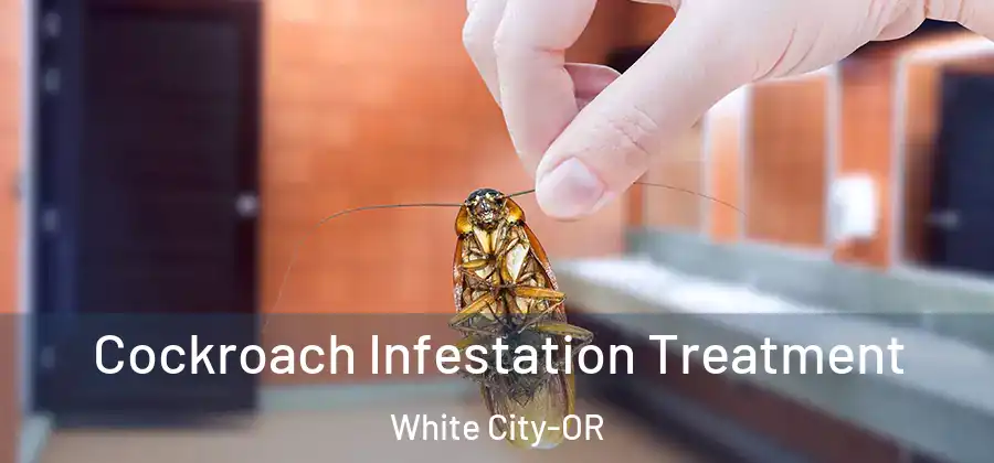  Cockroach Infestation Treatment White City-OR