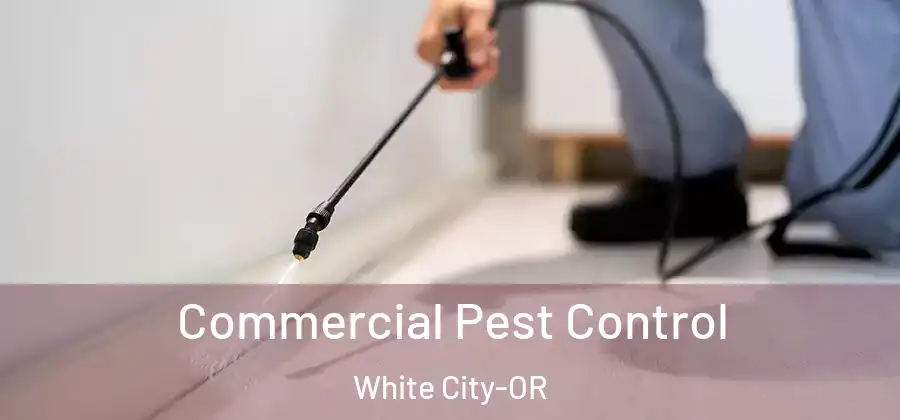 Commercial Pest Control White City-OR