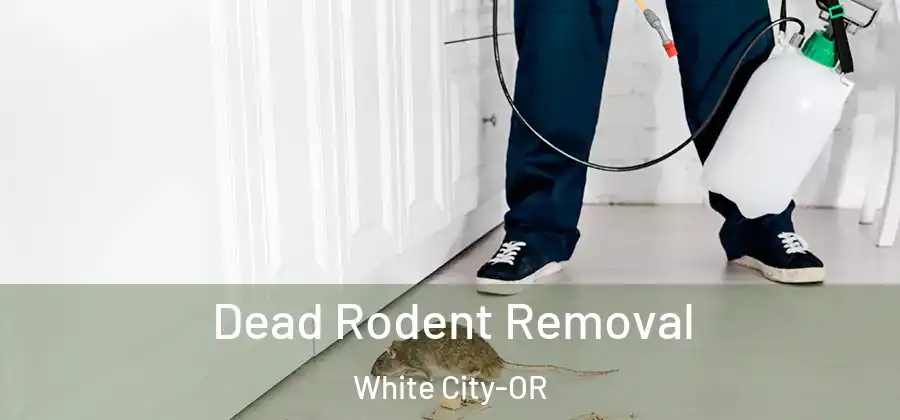 Dead Rodent Removal White City-OR