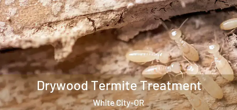 Drywood Termite Treatment White City-OR