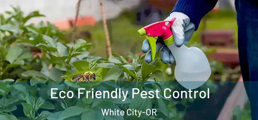 Eco Friendly Pest Control White City-OR