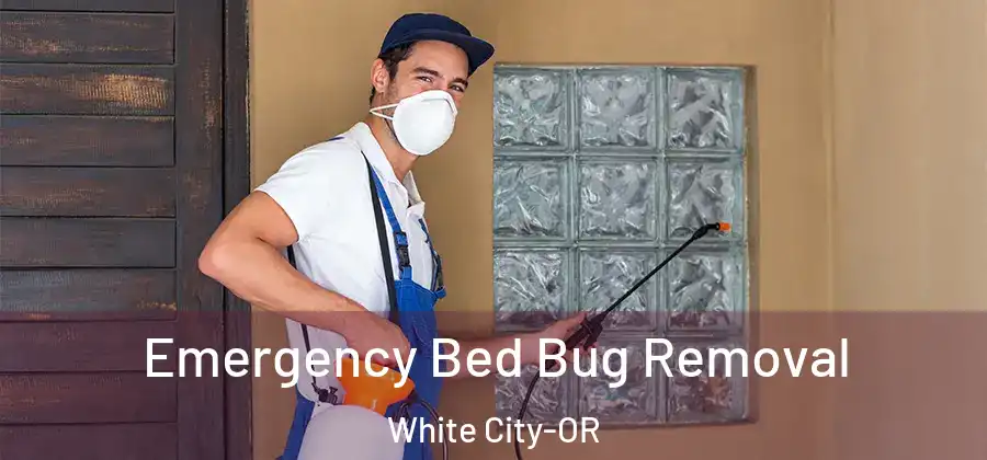  Emergency Bed Bug Removal White City-OR