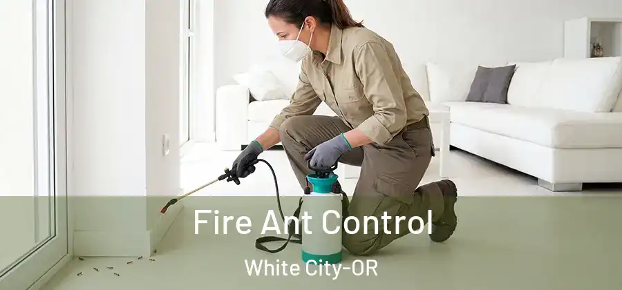 Fire Ant Control White City-OR