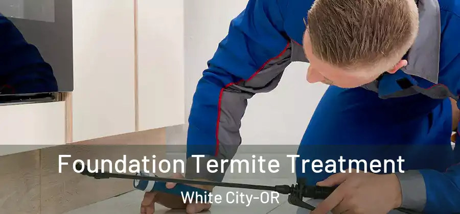 Foundation Termite Treatment White City-OR