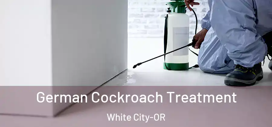  German Cockroach Treatment White City-OR