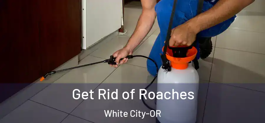  Get Rid of Roaches White City-OR