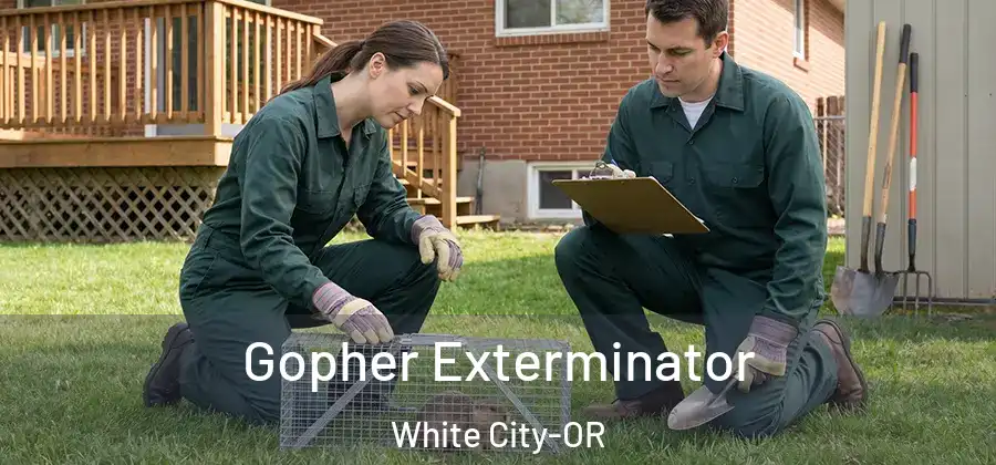Gopher Exterminator White City-OR