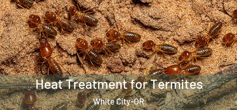 Heat Treatment for Termites White City-OR