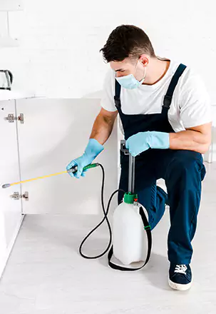 Commercial Pest Control