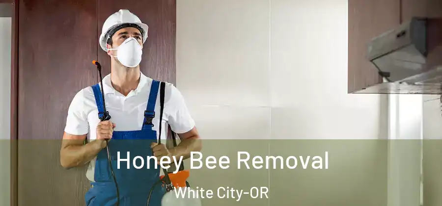 Honey Bee Removal White City-OR