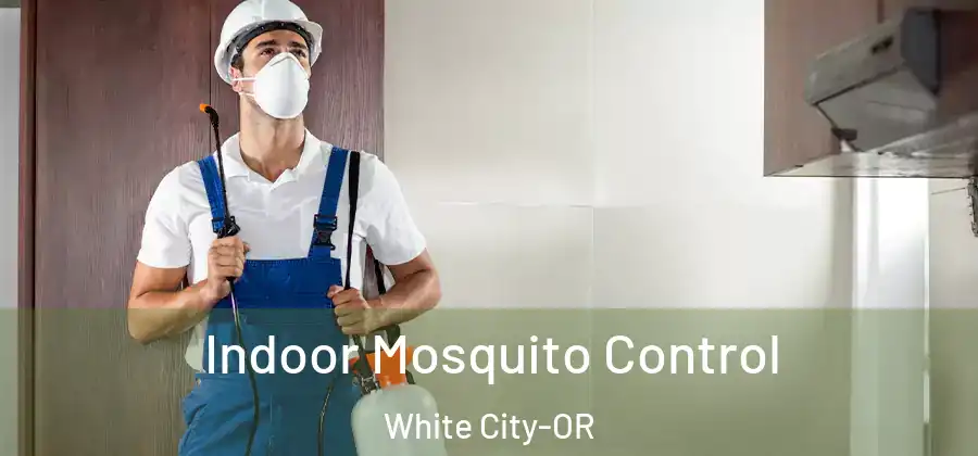 Indoor Mosquito Control White City-OR