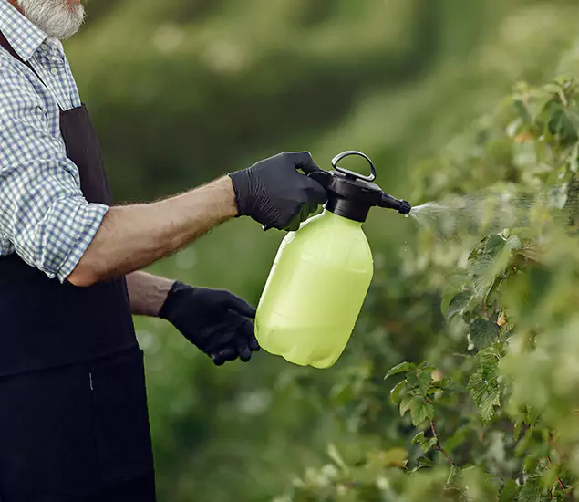 Your Proven Mosquito Treatment Company in White City, OR