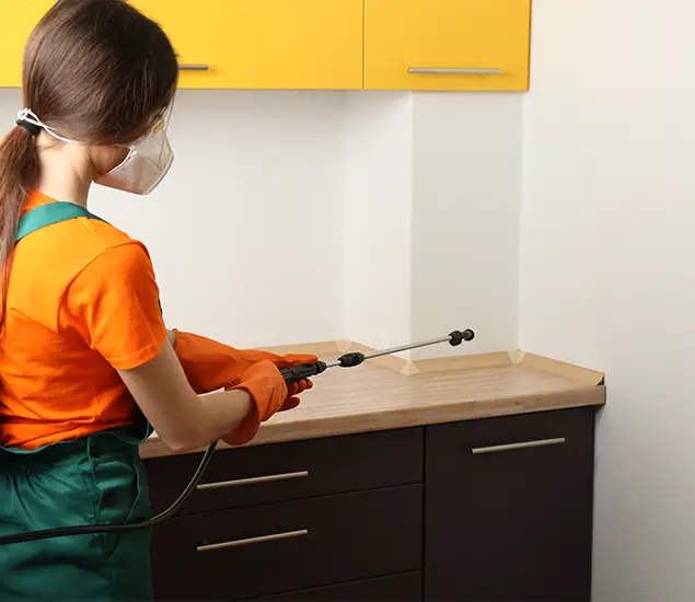 Trusted Bed Bug Pest Control Specialist in White City, OR