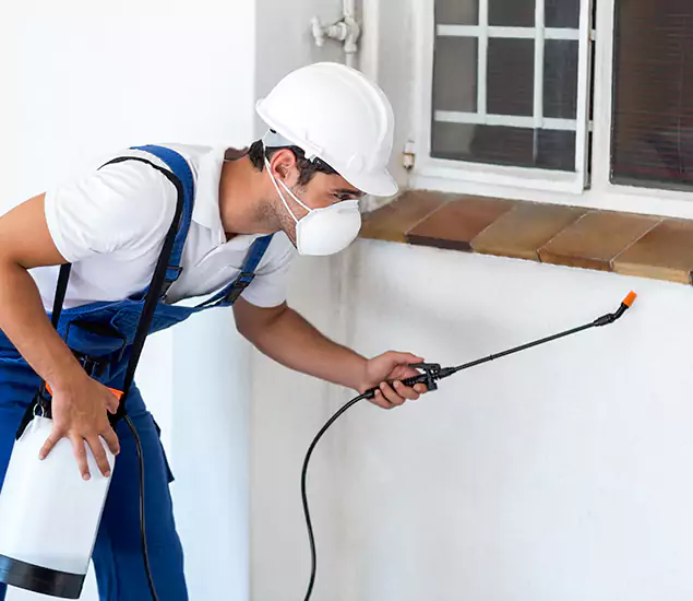 Your Professional Cockroach Exterminator in White City, OR